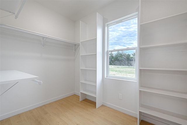 spacious closet with hardwood / wood-style flooring