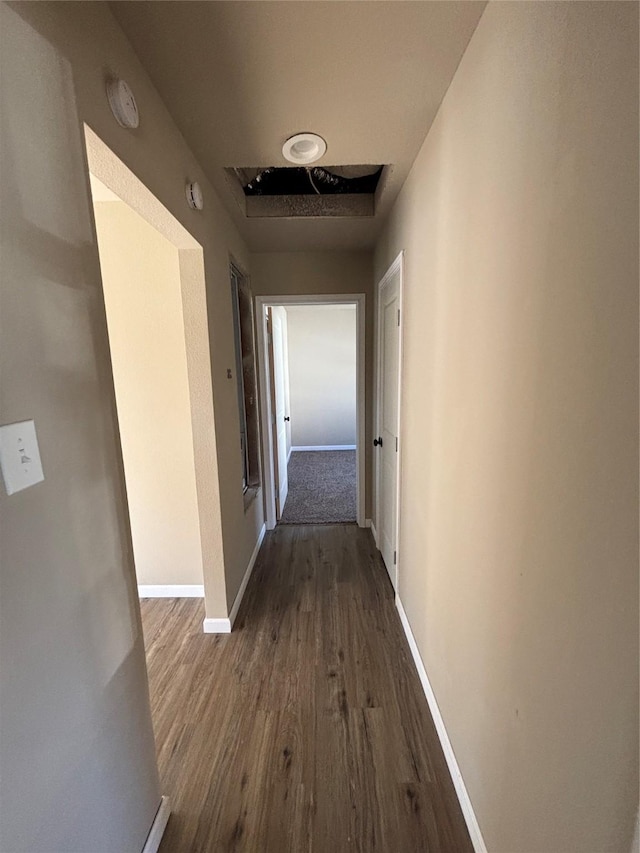 hall featuring dark wood-type flooring