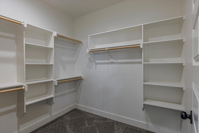 spacious closet with dark colored carpet