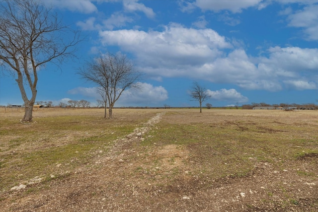 view of yard featuring a rural view