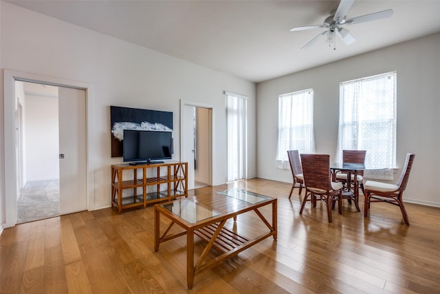 living room featuring ceiling fan and wood-type flooring