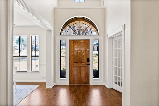 foyer featuring a wealth of natural light and dark wood-type flooring