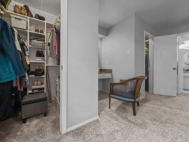 spacious closet with light carpet