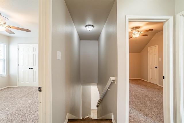 hallway featuring carpet floors