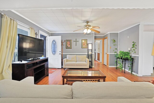 living room with ceiling fan, light wood-type flooring, and ornamental molding