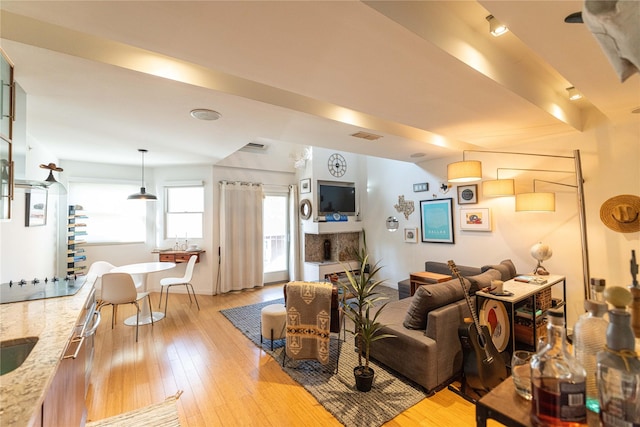 living room featuring a fireplace and light wood-type flooring