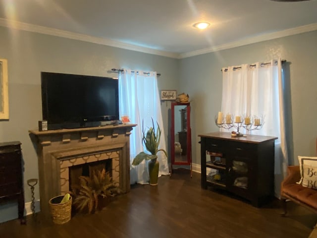 interior space with a fireplace, dark hardwood / wood-style floors, and crown molding