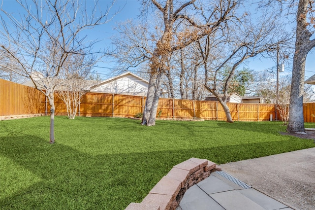 view of yard with a patio