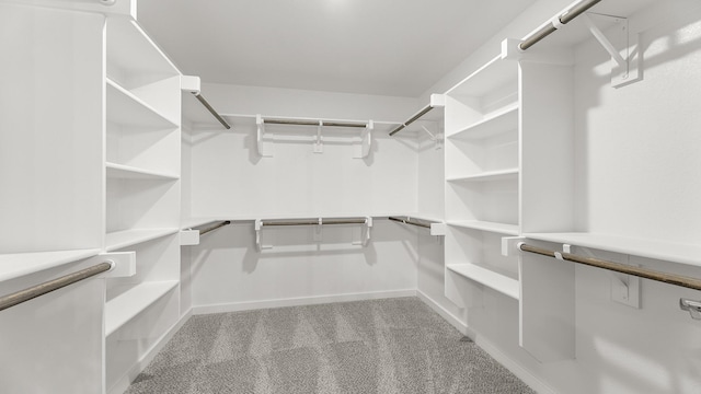 spacious closet with light carpet