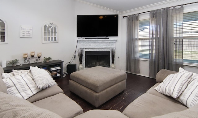 living room featuring dark wood-type flooring and ornamental molding