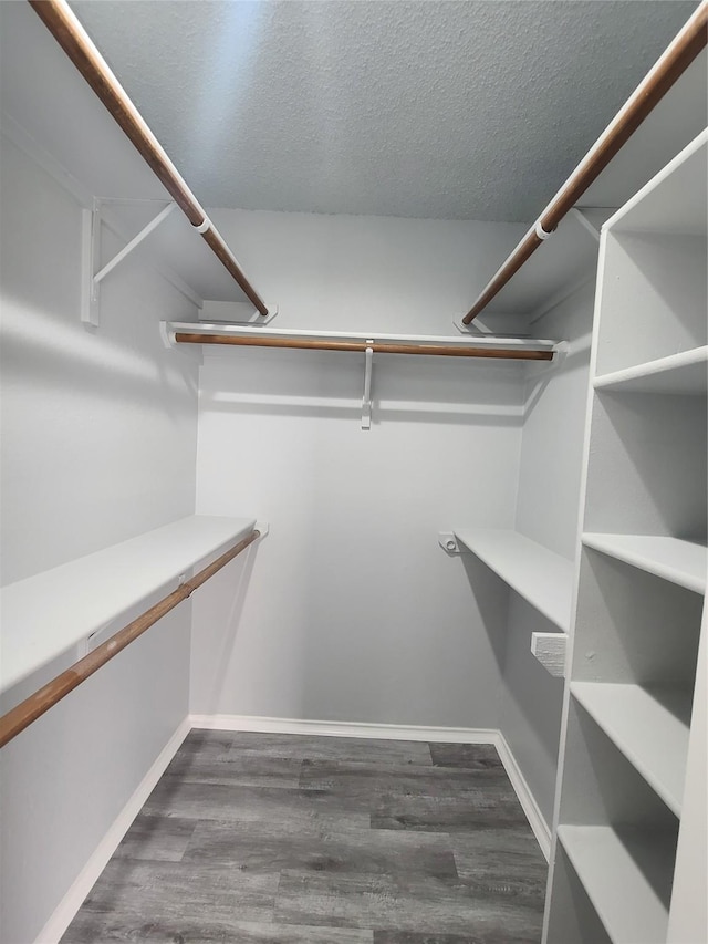 spacious closet with hardwood / wood-style floors