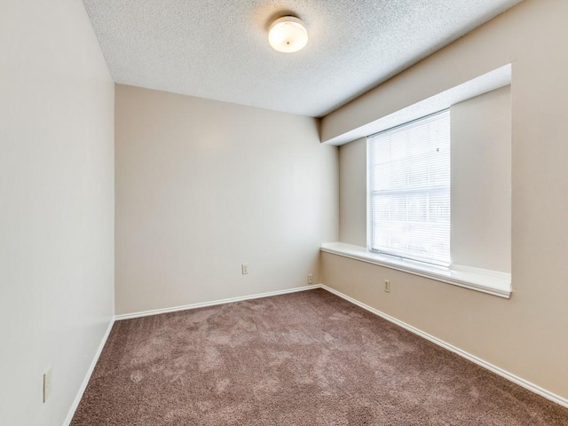 empty room featuring carpet and a textured ceiling