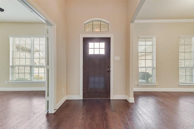 entrance foyer featuring crown molding, dark wood-type flooring, and a wealth of natural light