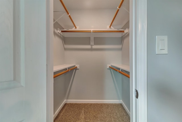 spacious closet with carpet