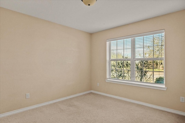 spare room with carpet flooring