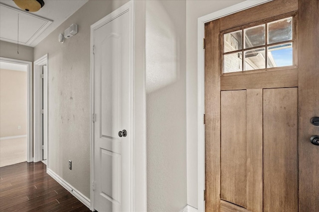 interior space featuring dark wood-type flooring