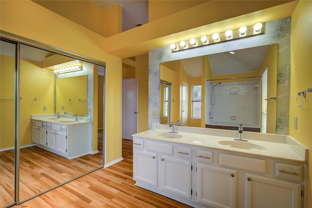 bathroom featuring wood-type flooring and vanity