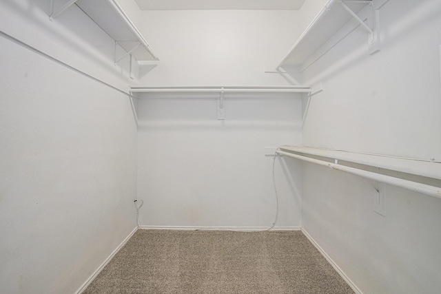 walk in closet with carpet
