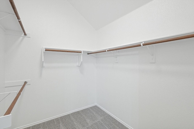 walk in closet with carpet floors and vaulted ceiling