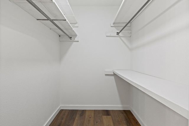 spacious closet with dark hardwood / wood-style floors