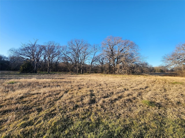 view of yard featuring a rural view