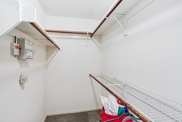 walk in closet featuring carpet floors