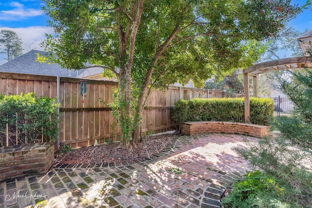 view of yard with a patio area