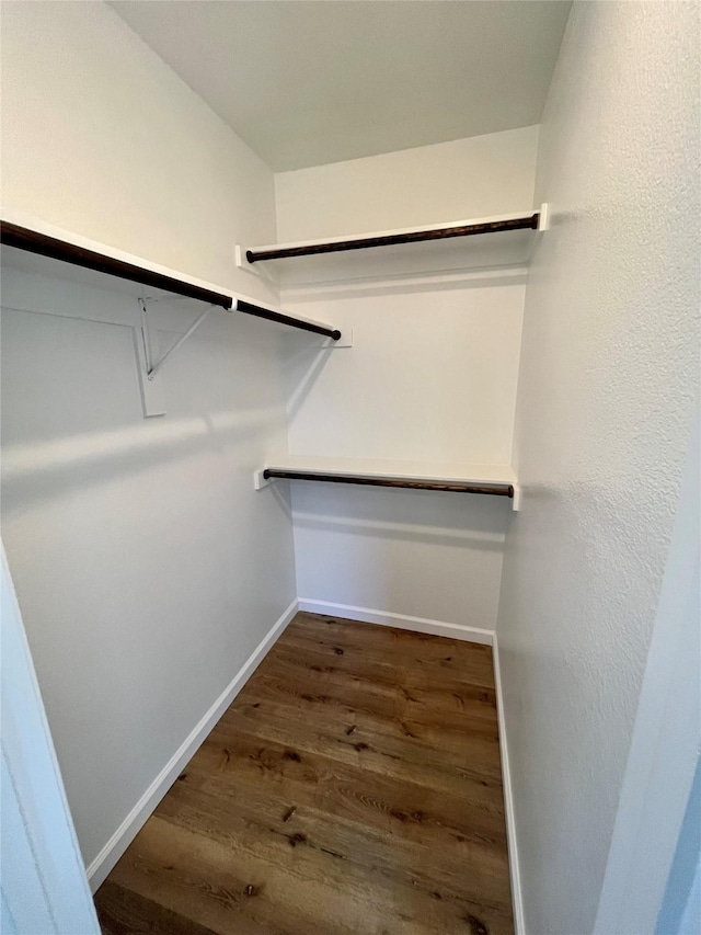 walk in closet with dark hardwood / wood-style floors