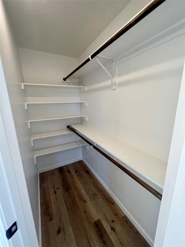 spacious closet featuring dark wood-type flooring