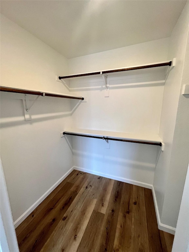 spacious closet with wood-type flooring