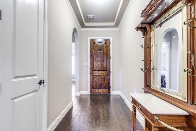 entrance foyer with dark wood-type flooring and a raised ceiling