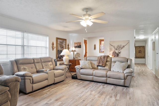 living room with crown molding, ceiling fan, and light hardwood / wood-style floors