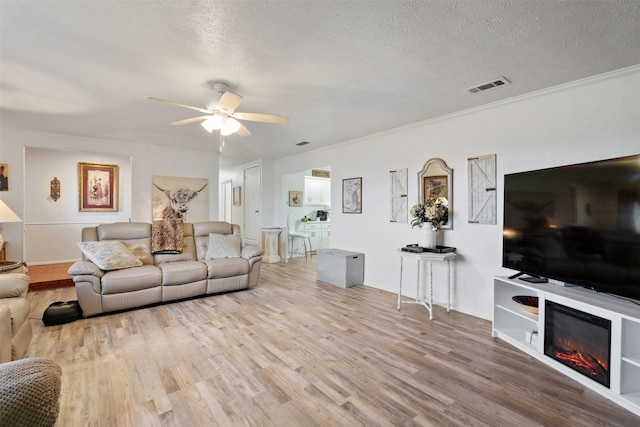 living room with ornamental molding, a textured ceiling, and light wood-type flooring