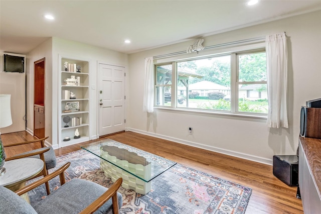 living room with light hardwood / wood-style floors, a wealth of natural light, and built in features