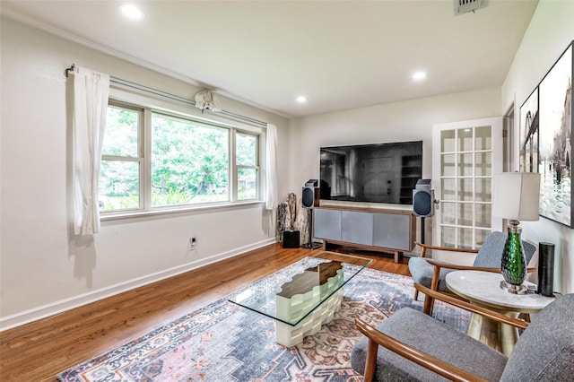 living room featuring wood-type flooring