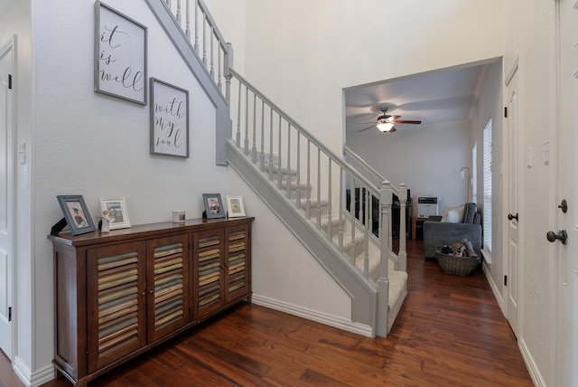 staircase with ceiling fan and hardwood / wood-style floors