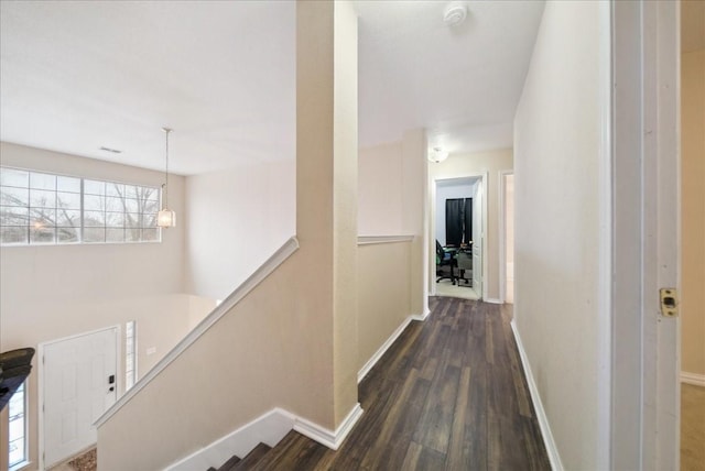 hall with dark hardwood / wood-style floors