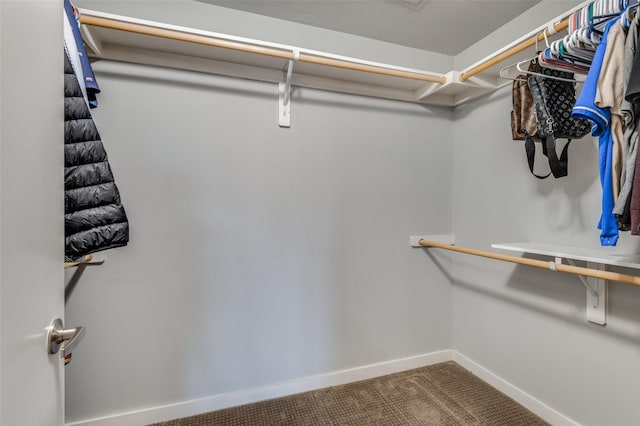 spacious closet featuring carpet floors