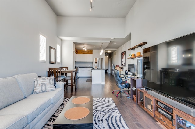 living room with dark hardwood / wood-style floors and a towering ceiling