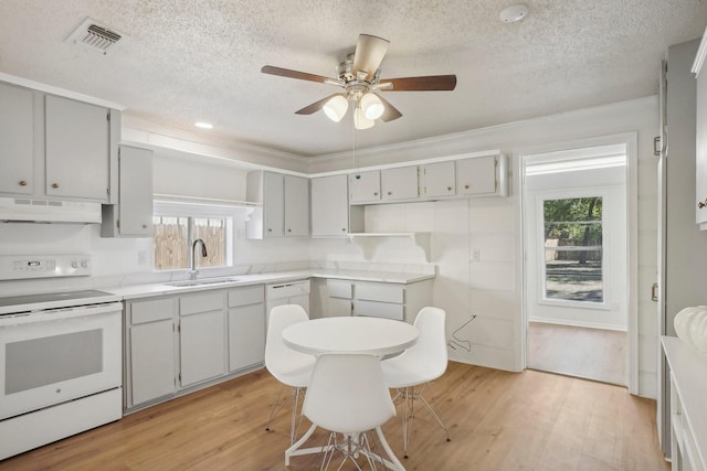 kitchen with plenty of natural light, light hardwood / wood-style flooring, white electric range oven, and sink