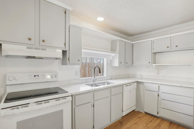 kitchen with sink, white appliances, crown molding, and light wood-type flooring