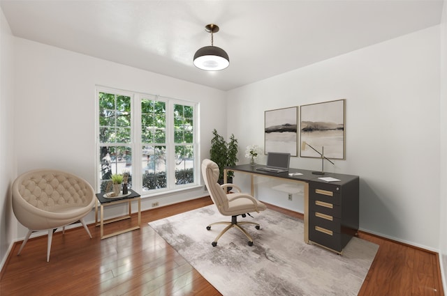 home office featuring wood-type flooring