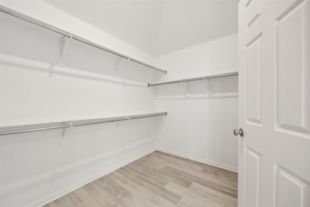 walk in closet with light wood-type flooring