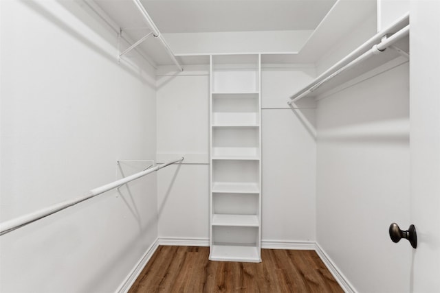 spacious closet featuring dark wood-type flooring