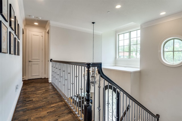 hallway with dark wood-type flooring, a wealth of natural light, and crown molding