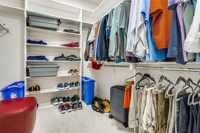 walk in closet featuring carpet flooring