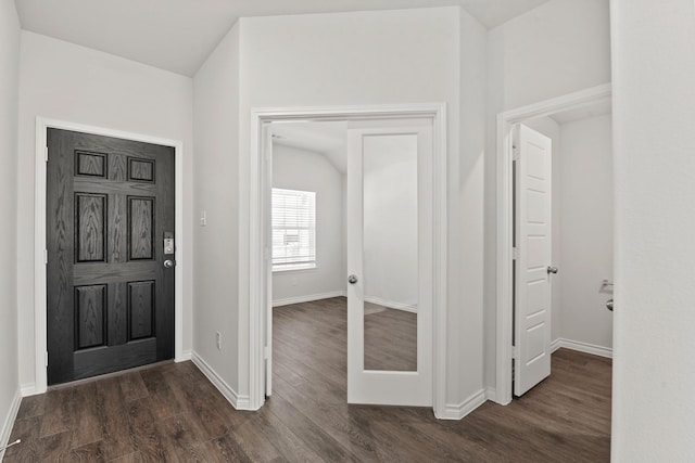 foyer entrance featuring dark wood-type flooring