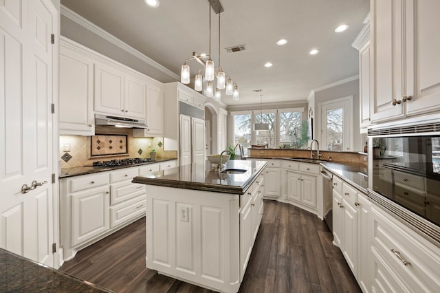 kitchen with visible vents, ornamental molding, stainless steel appliances, under cabinet range hood, and a sink