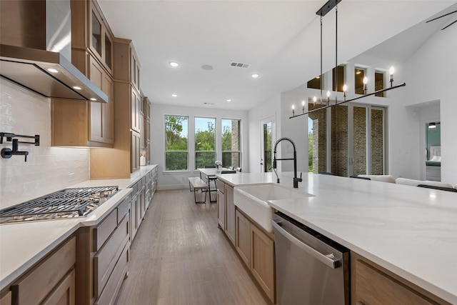 kitchen featuring a sink, appliances with stainless steel finishes, wall chimney exhaust hood, light wood finished floors, and glass insert cabinets