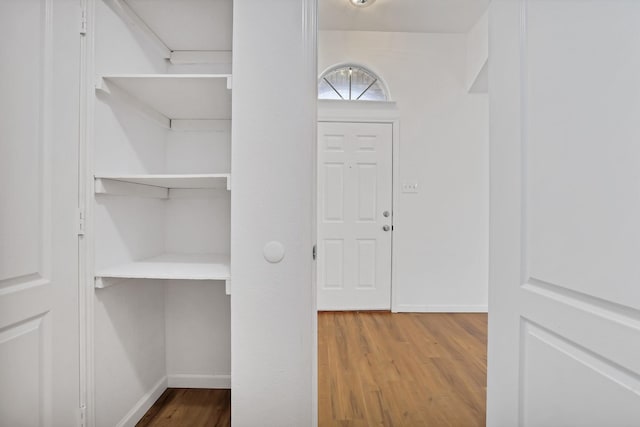 foyer with hardwood / wood-style flooring